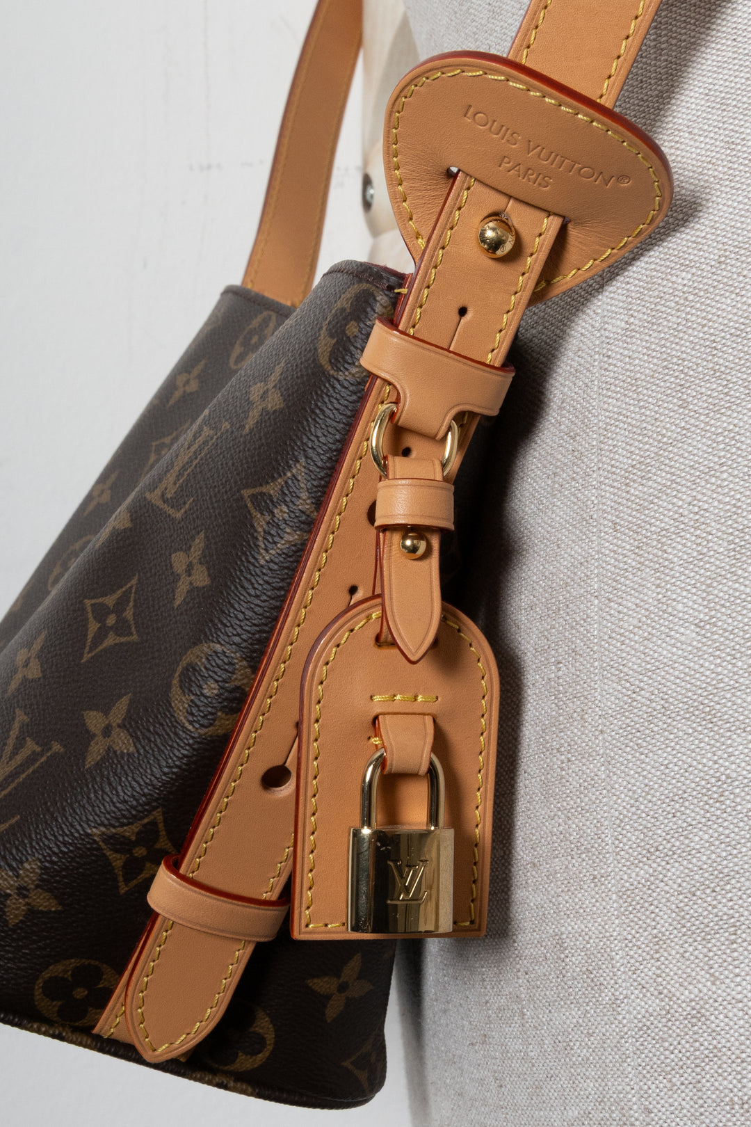 LOUIS VUITTON All In BB Crossbody Bag MNG Canvas
