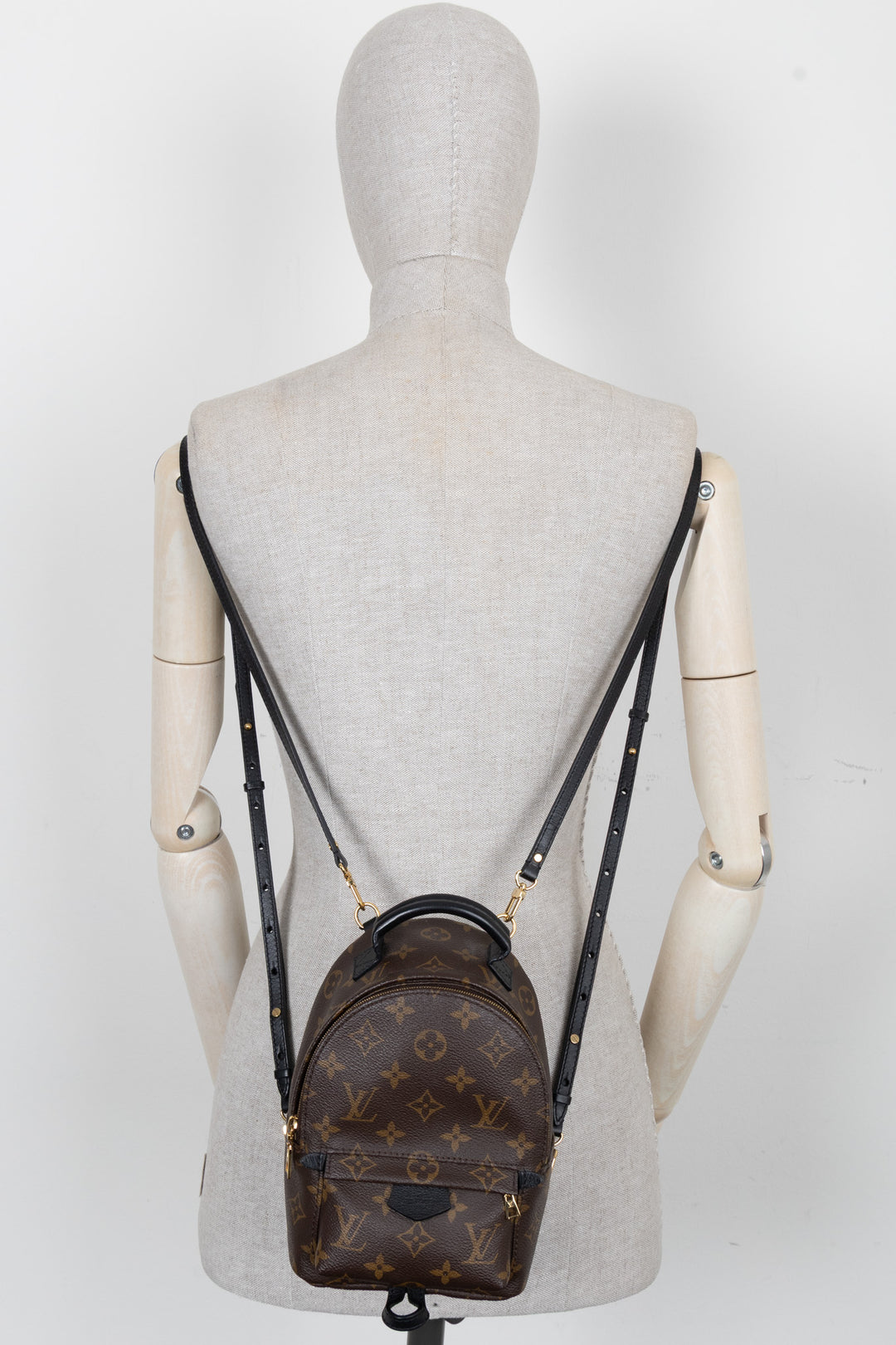 LOUIS VUITTON Palm Springs Backpack Mini MNG Canvas