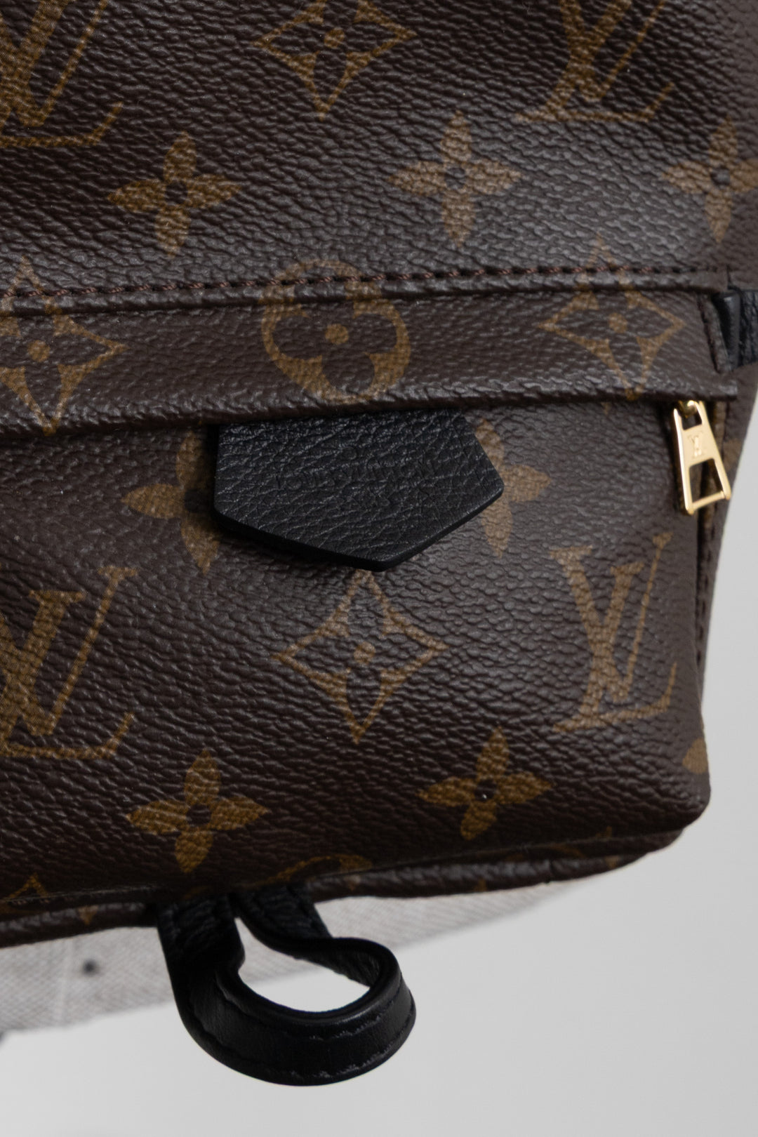 LOUIS VUITTON Palm Springs Backpack Mini MNG Canvas