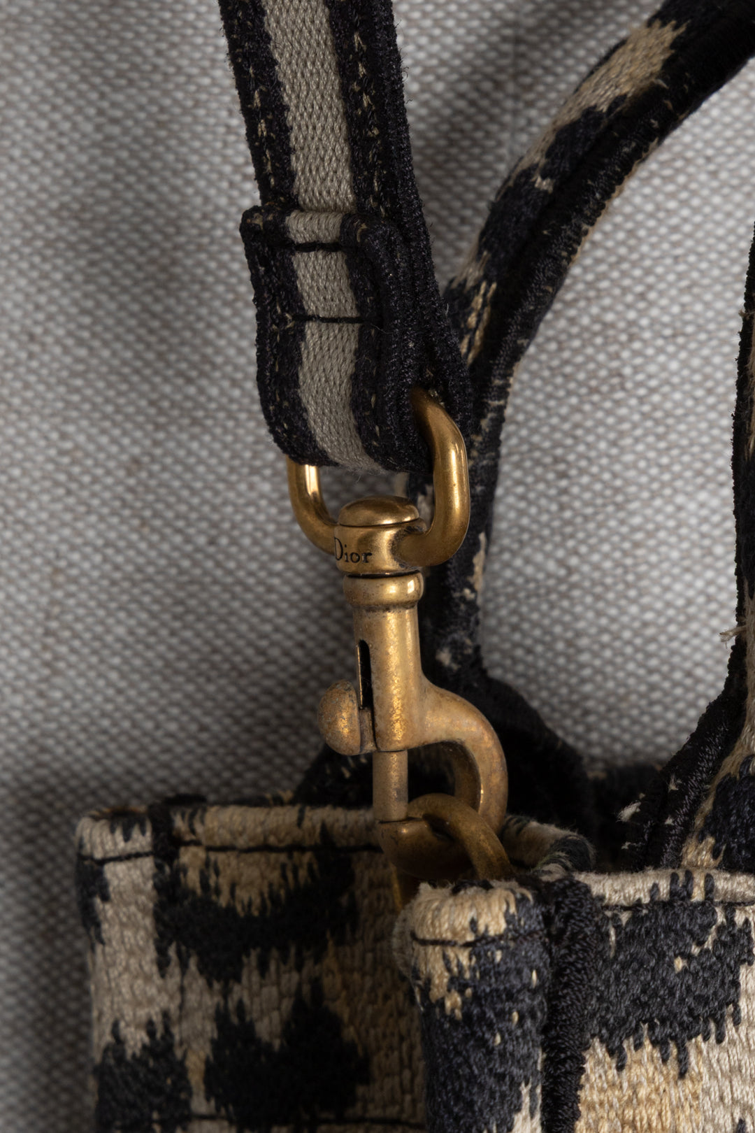 CHRISTIAN DIOR Cheetah Mini Mizza Vertical Book Tote Canvas