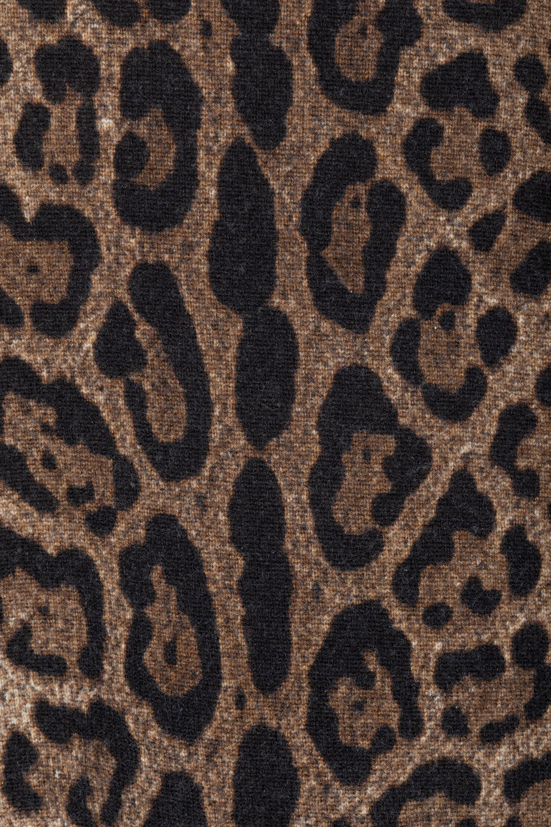 DOLCE&GABBANA Leopard Print Cashmere Knit