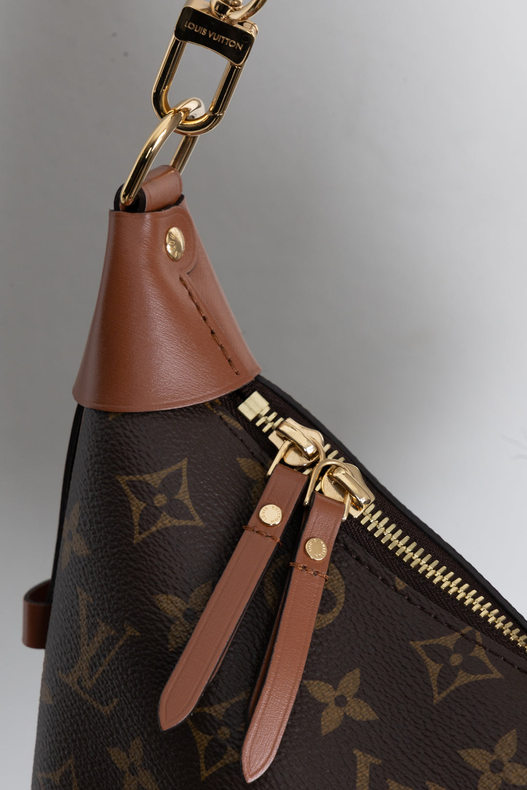 LOUIS VUITTON Loop Hobo Bag MNG Reverse