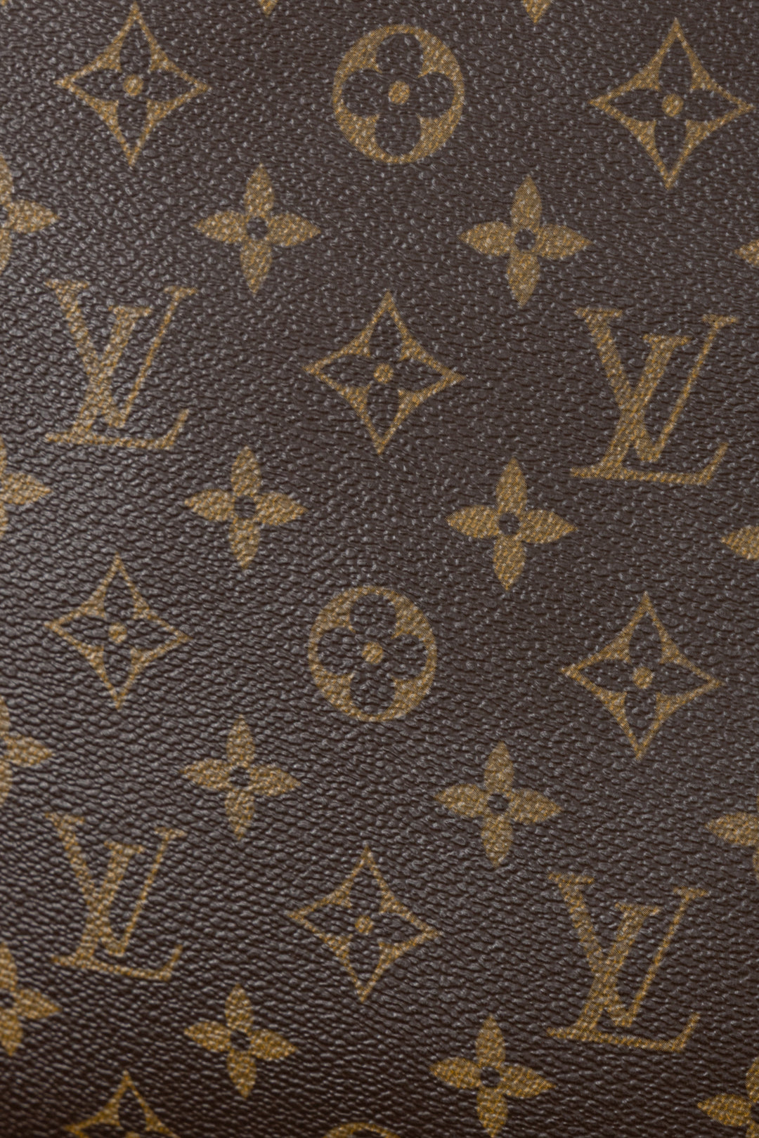 LOUIS VUITTON Sac Plat Tote Bag MNG Canvas