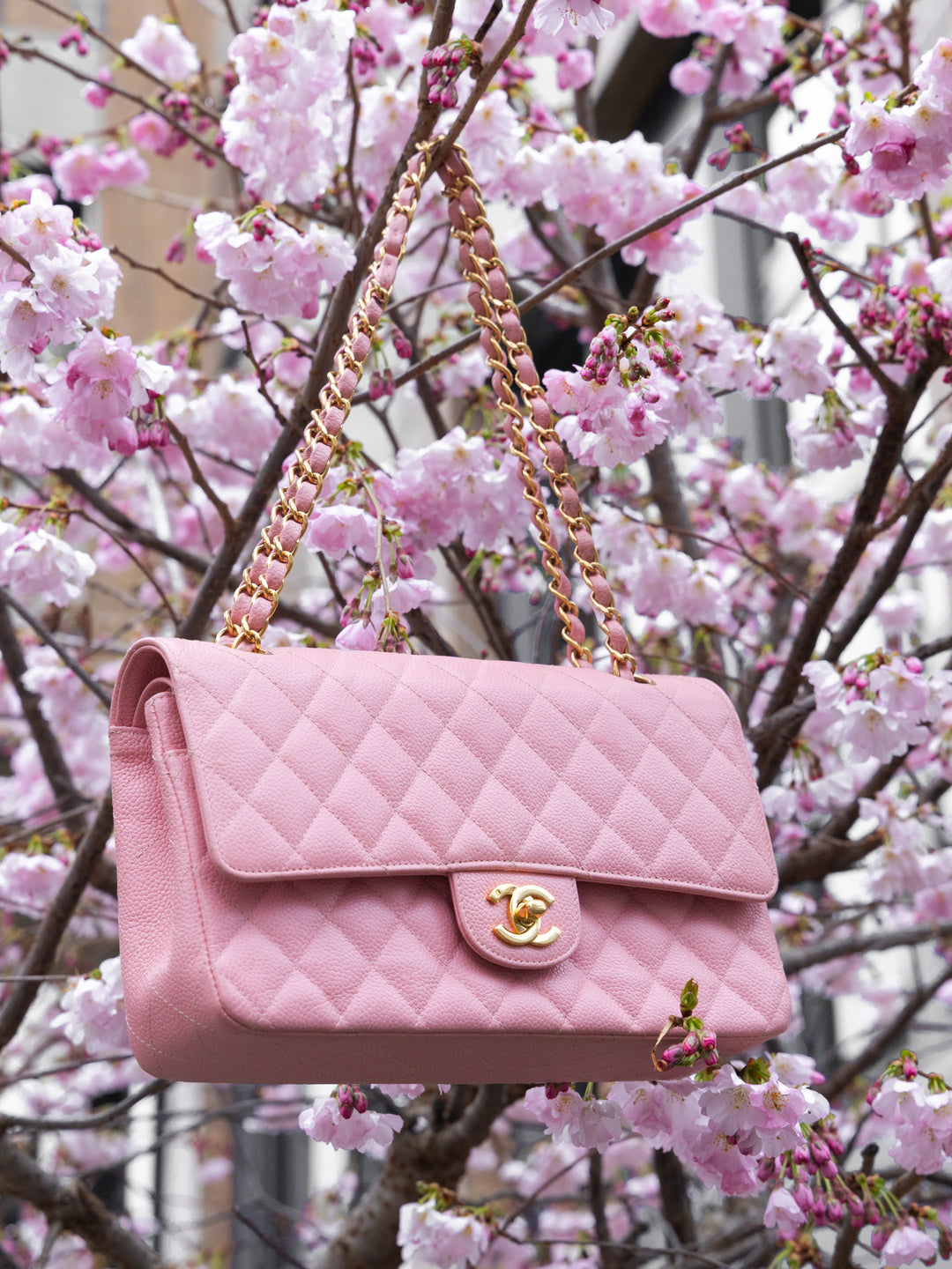 CHANEL Medium Double Flap Bag Caviar Pink