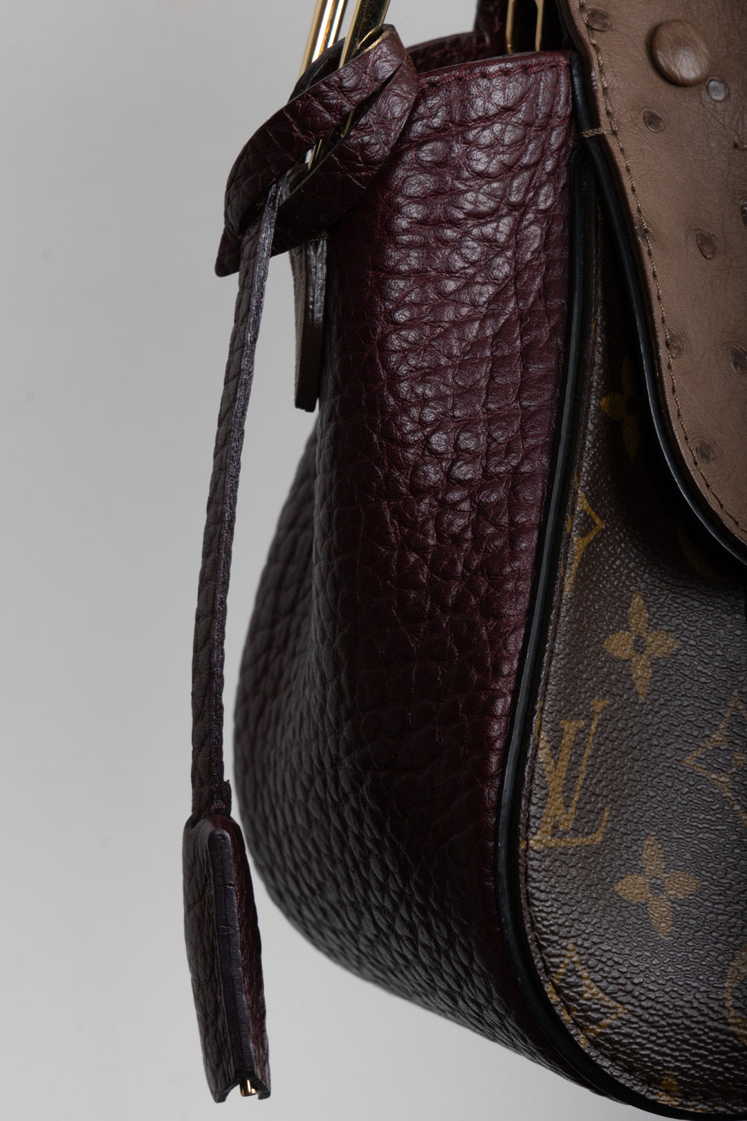 LOUIS VUITTON Le Majestueux Exotic Shoulder Bag MNG