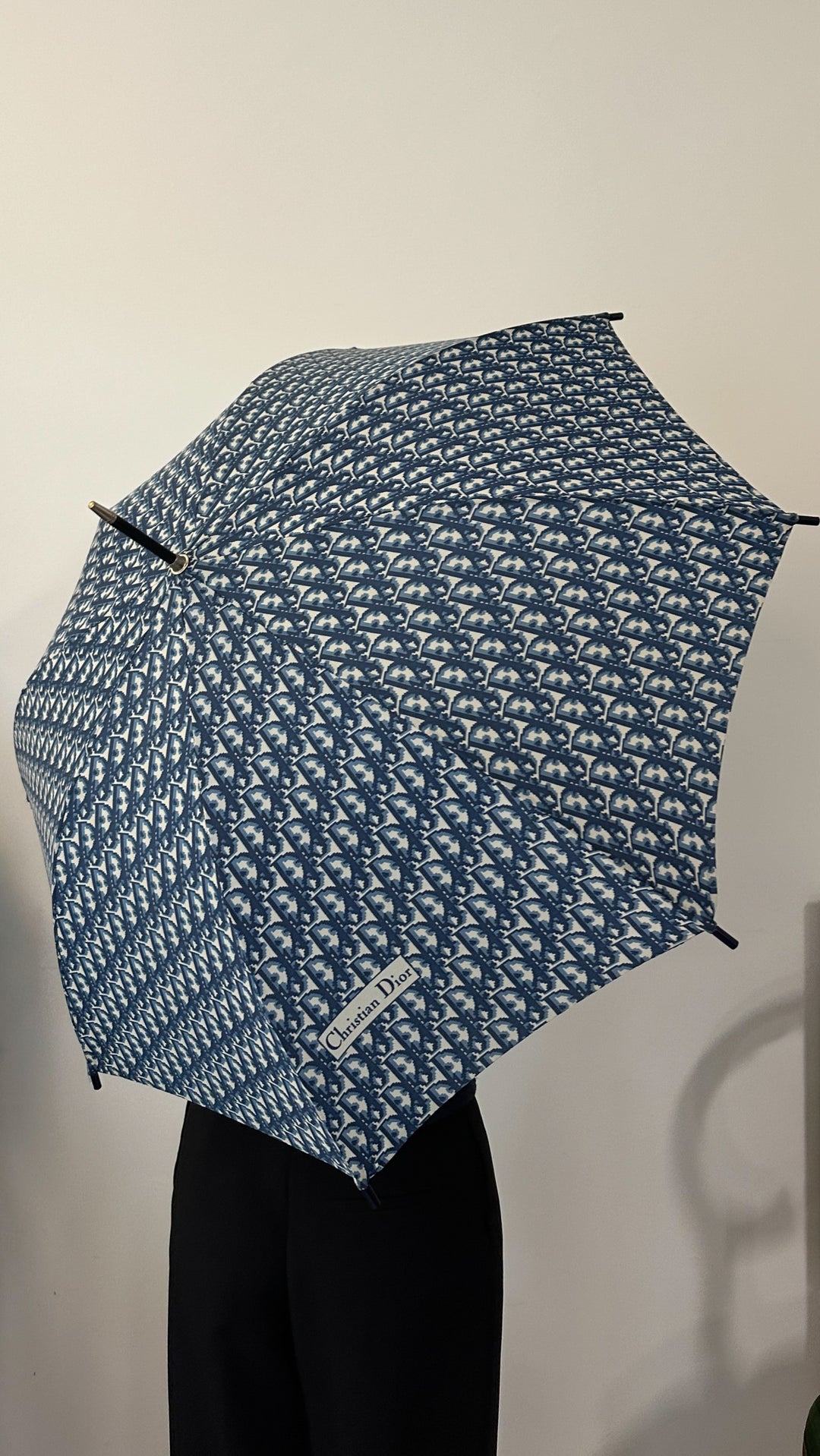 CHRISTIAN DIOR Umbrella Oblique Blue