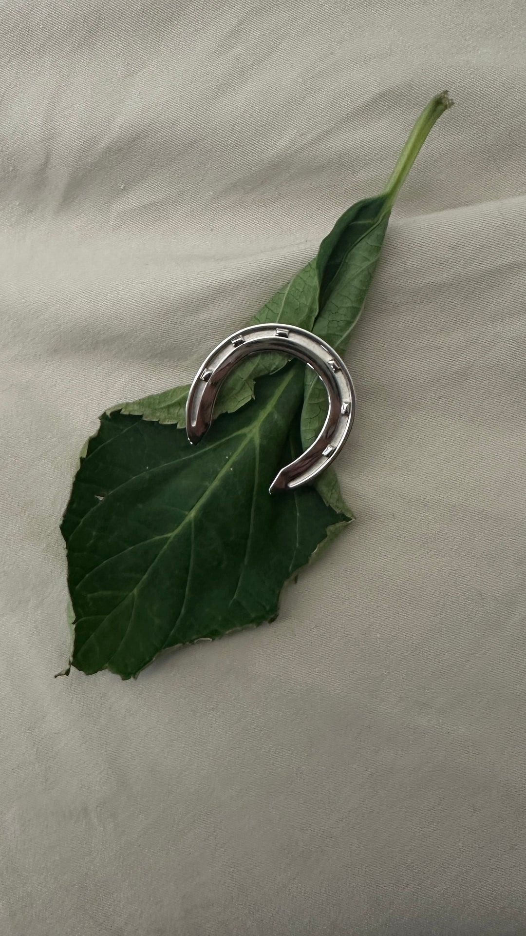 HERMÈS Horseshoe Scarf Holder Silver