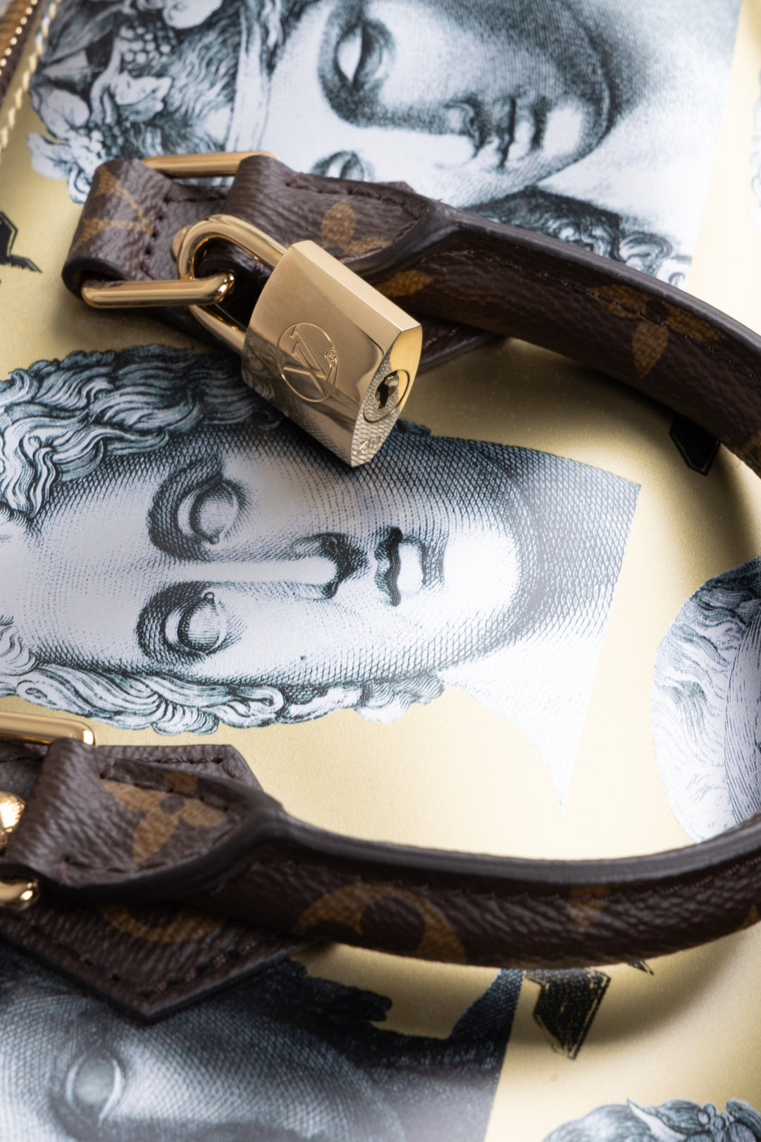 Toile Speedy 25 LOUIS VUITTON x Fornasetti