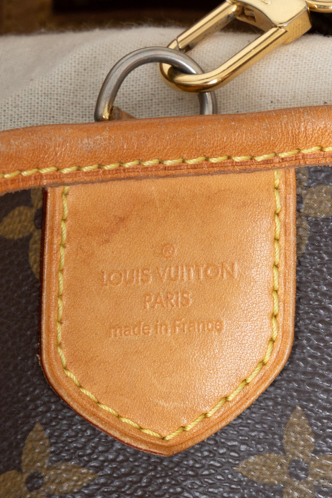 LOUIS VUITTON Delightful GM Bag MNG Canvas