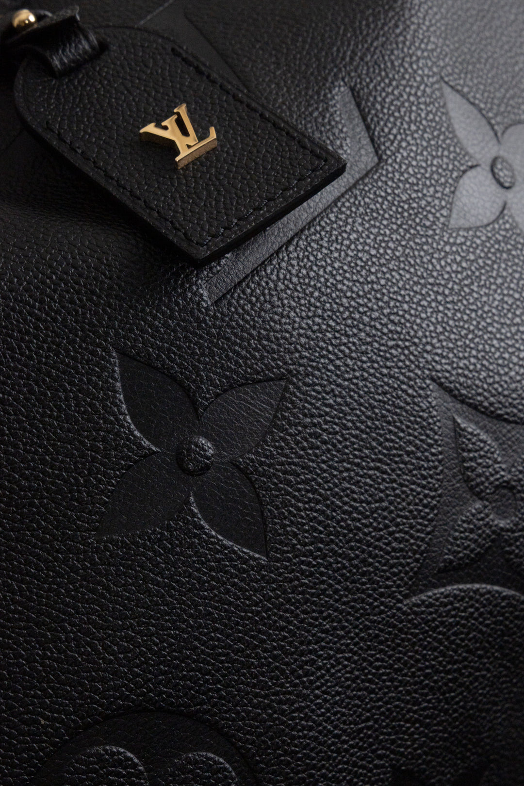 LOUIS VUITTON CarryAll MM Empreinte Black