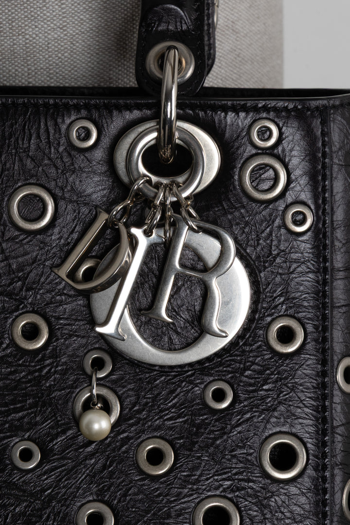 CHRISTIAN DIOR Cruise 2025 Medium Lady Dior