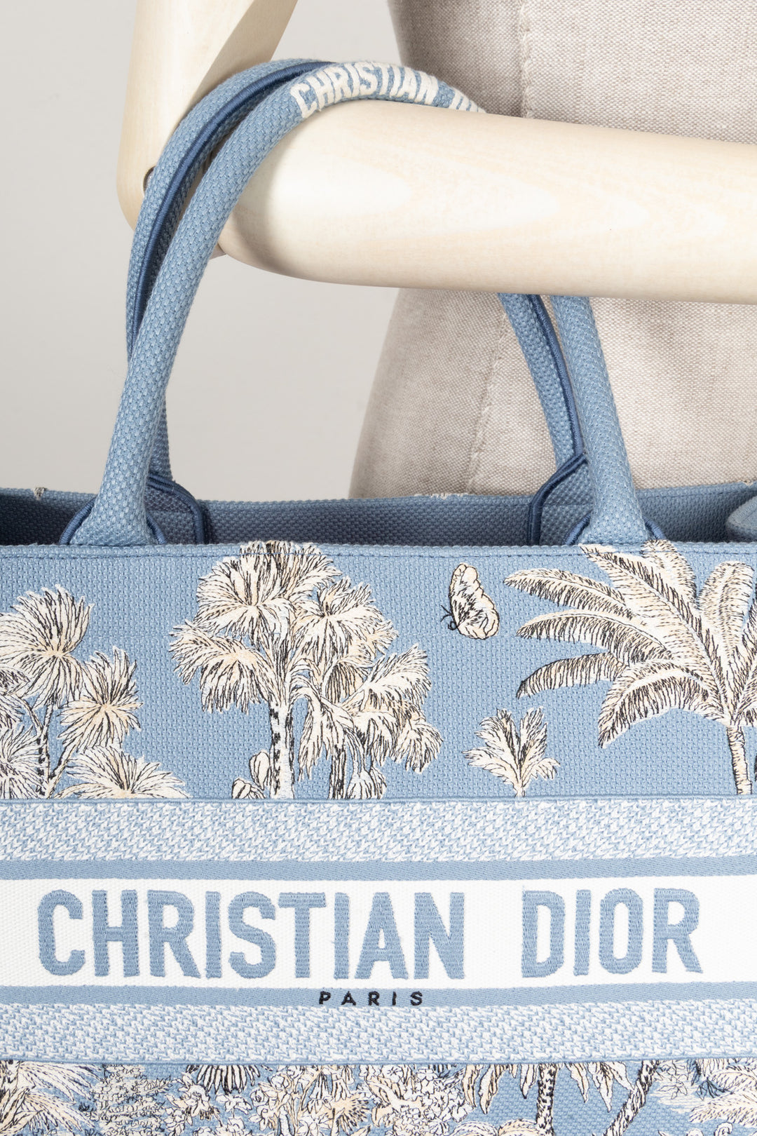 CHRISTIAN DIOR 2025 Dioriviera Book Tote Medium Celestial Blue