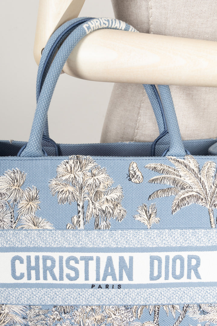 CHRISTIAN DIOR 2025 Dioriviera Book Tote Medium Celestial Blue