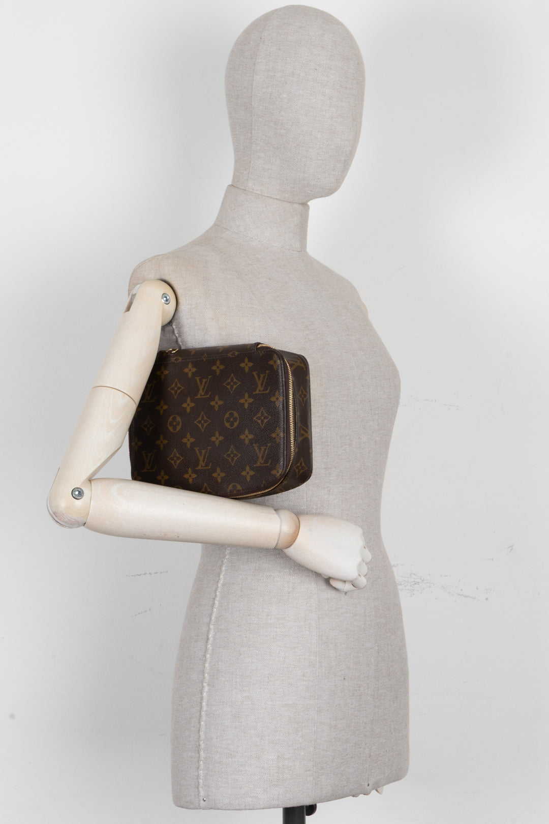 LOUIS VUITTON Monte Carlo Jewelry Case MNG