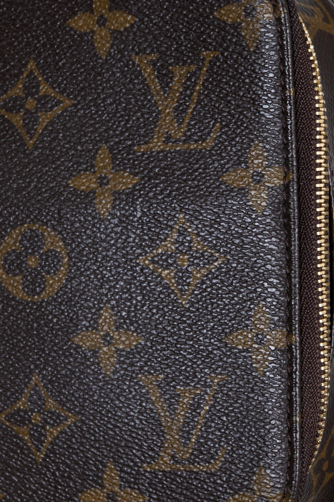 LOUIS VUITTON Monte Carlo Jewelry Case MNG