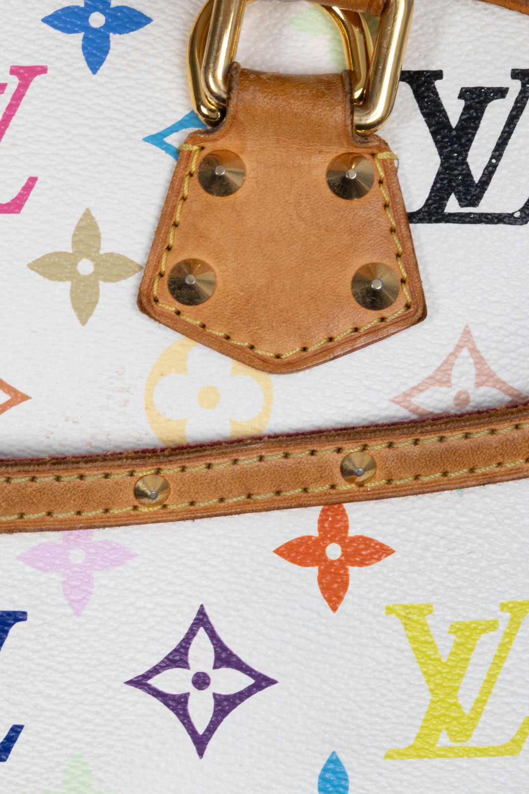 LOUIS VUITTON Trouville Handbag MNG Canvas Multicolor