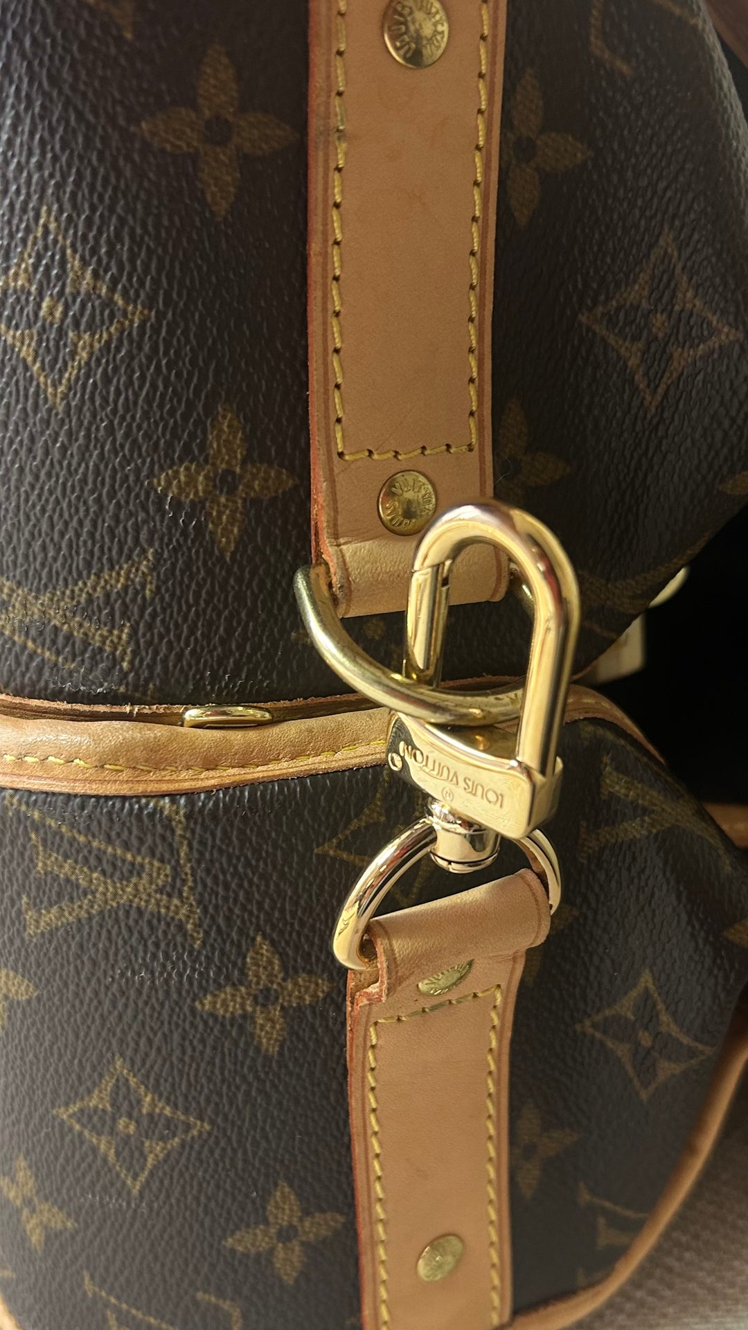 LOUIS VUITTON Garment Travel Bag MNG Canvas