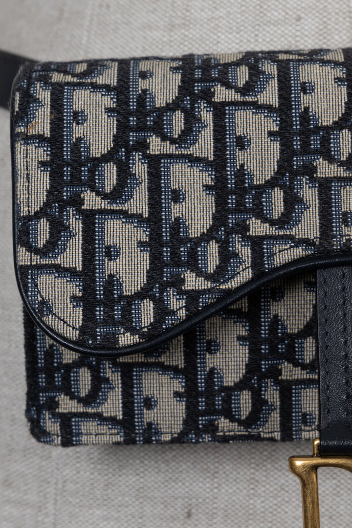 CHRISTIAN DIOR Saddle Belt Pouch Oblique Canvas