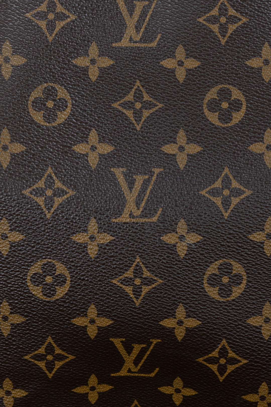 LOUIS VUITTON Sac Plat Tote Bag MNG Canvas