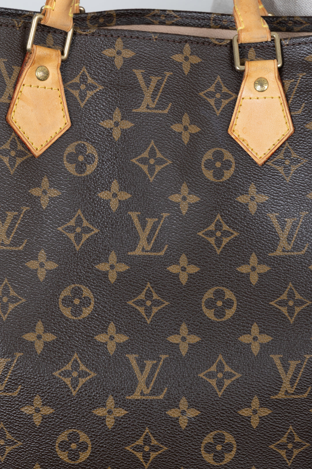 LOUIS VUITTON Sac Plat Tote Bag MNG Canvas