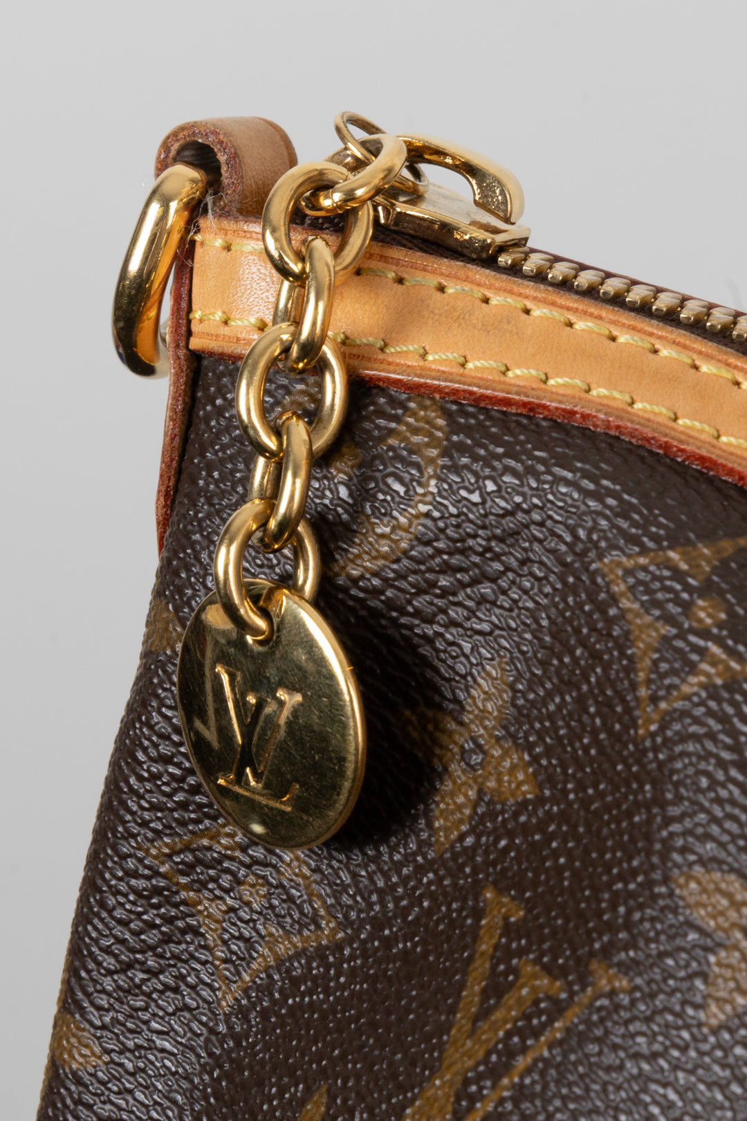 LOUIS VUITTON Palermo Bag MNG Canvas