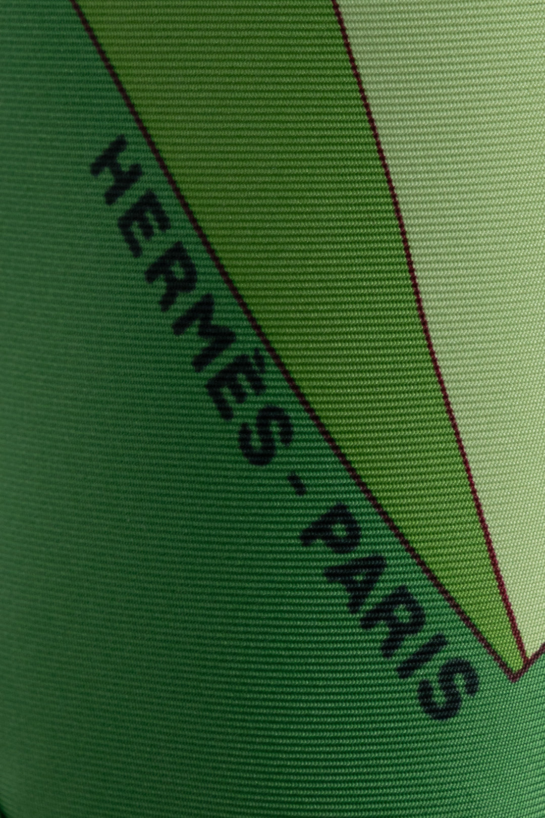 HERMÈS Les Zèbres II 90 Foulard Soie Vert