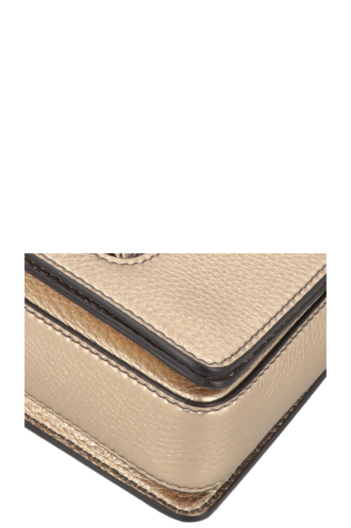 CHRISTIAN DIOR Dio(R)evolution Bag Leather Gold