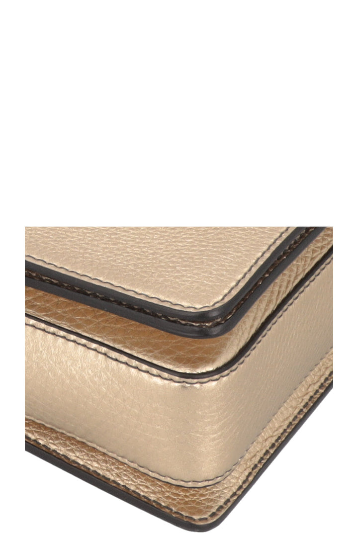 CHRISTIAN DIOR Dio(R)evolution Bag Leather Gold