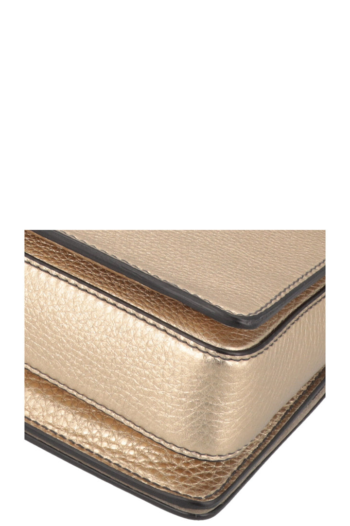CHRISTIAN DIOR Dio(R)evolution Bag Leather Gold