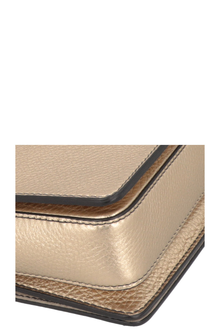 CHRISTIAN DIOR Dio(R)evolution Bag Leather Gold