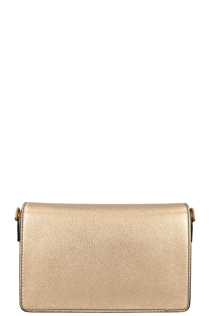 CHRISTIAN DIOR Dio(R)evolution Bag Leather Gold