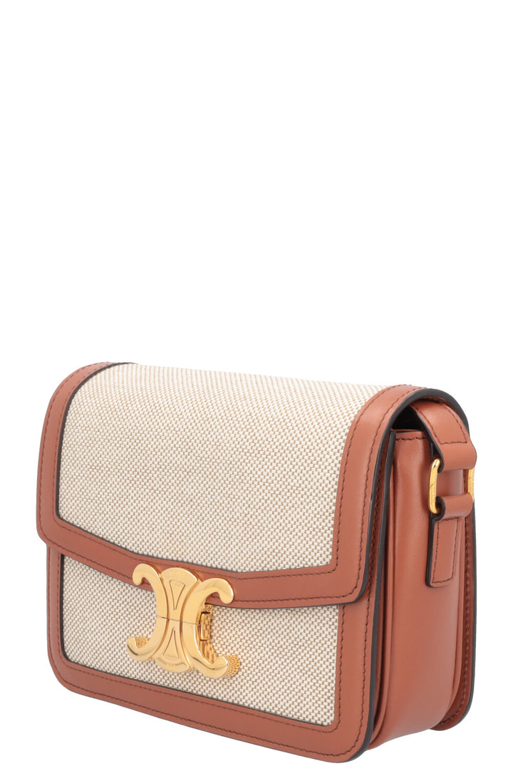 CELINE Teen Triomphe Crossbody Bag Raffia Leather