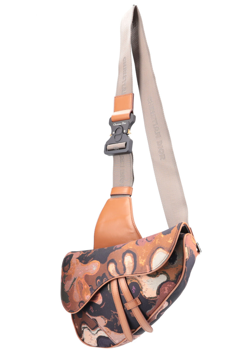CHRISTIAN DIOR Saddle Bag Peter Doig
