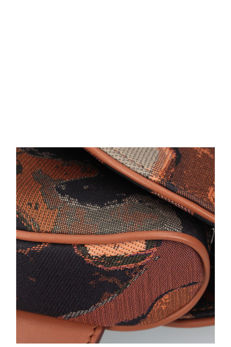 CHRISTIAN DIOR Saddle Bag Peter Doig