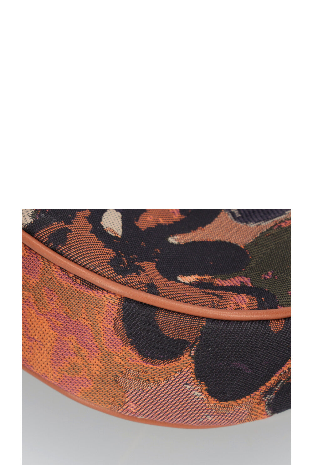 Sacoche CHRISTIAN DIOR Peter Doig