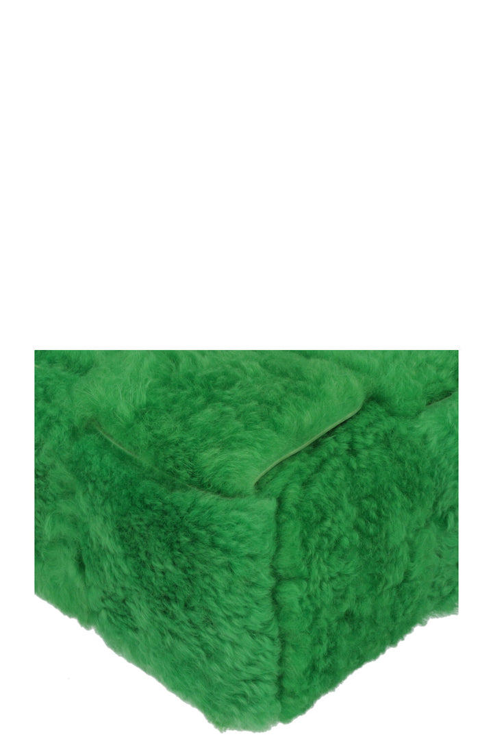 BOTTEGA VENETA Arco Shearling Bag Parakeet
