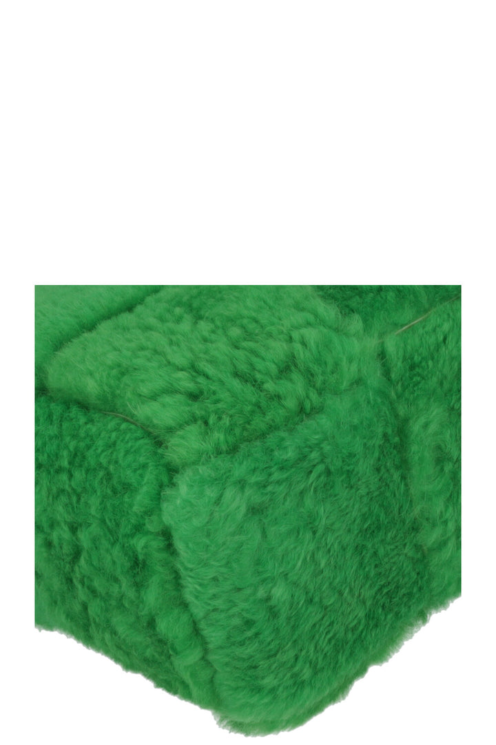 BOTTEGA VENETA Arco Shearling Bag Parakeet