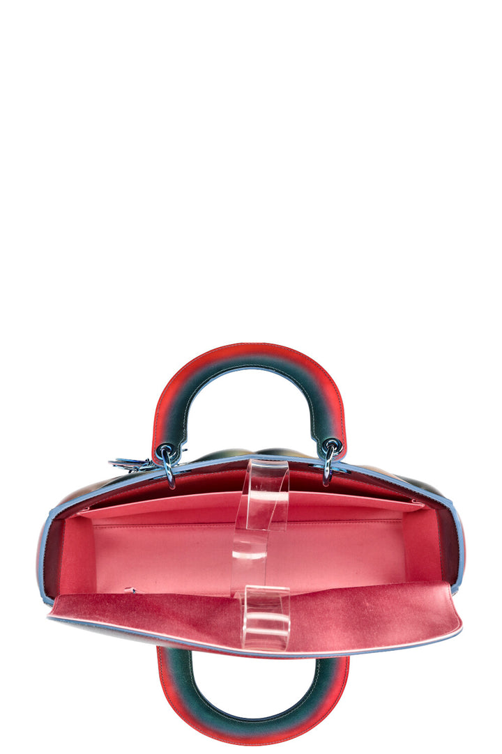 CHRISTIAN DIOR Lady Judy Chicago Bag