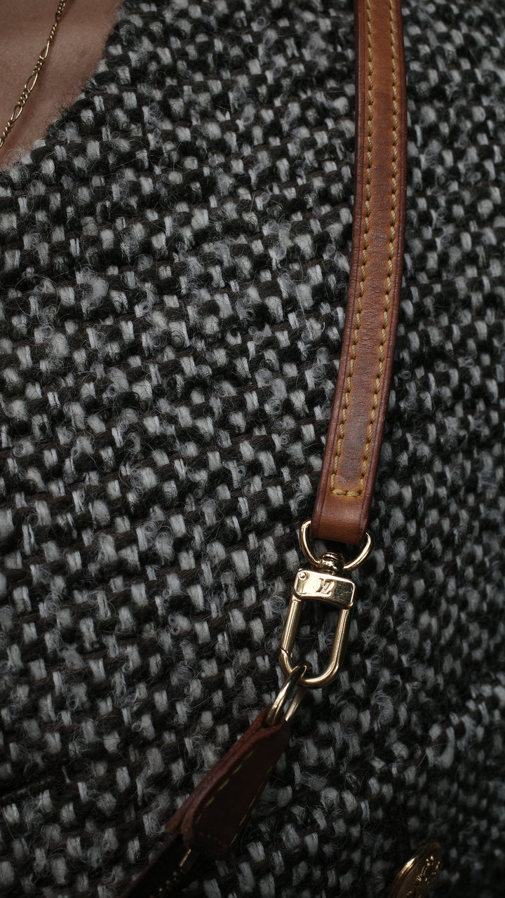 LOUIS VUITTON Pochette Accessoires MNG