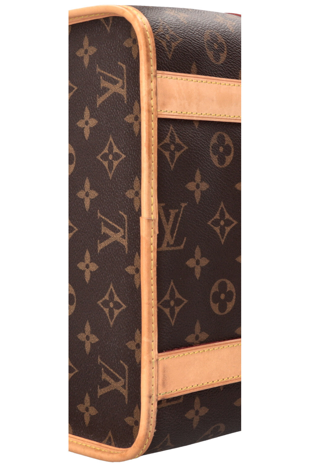 LOUIS VUITTON Dog Bag MNG Canvas