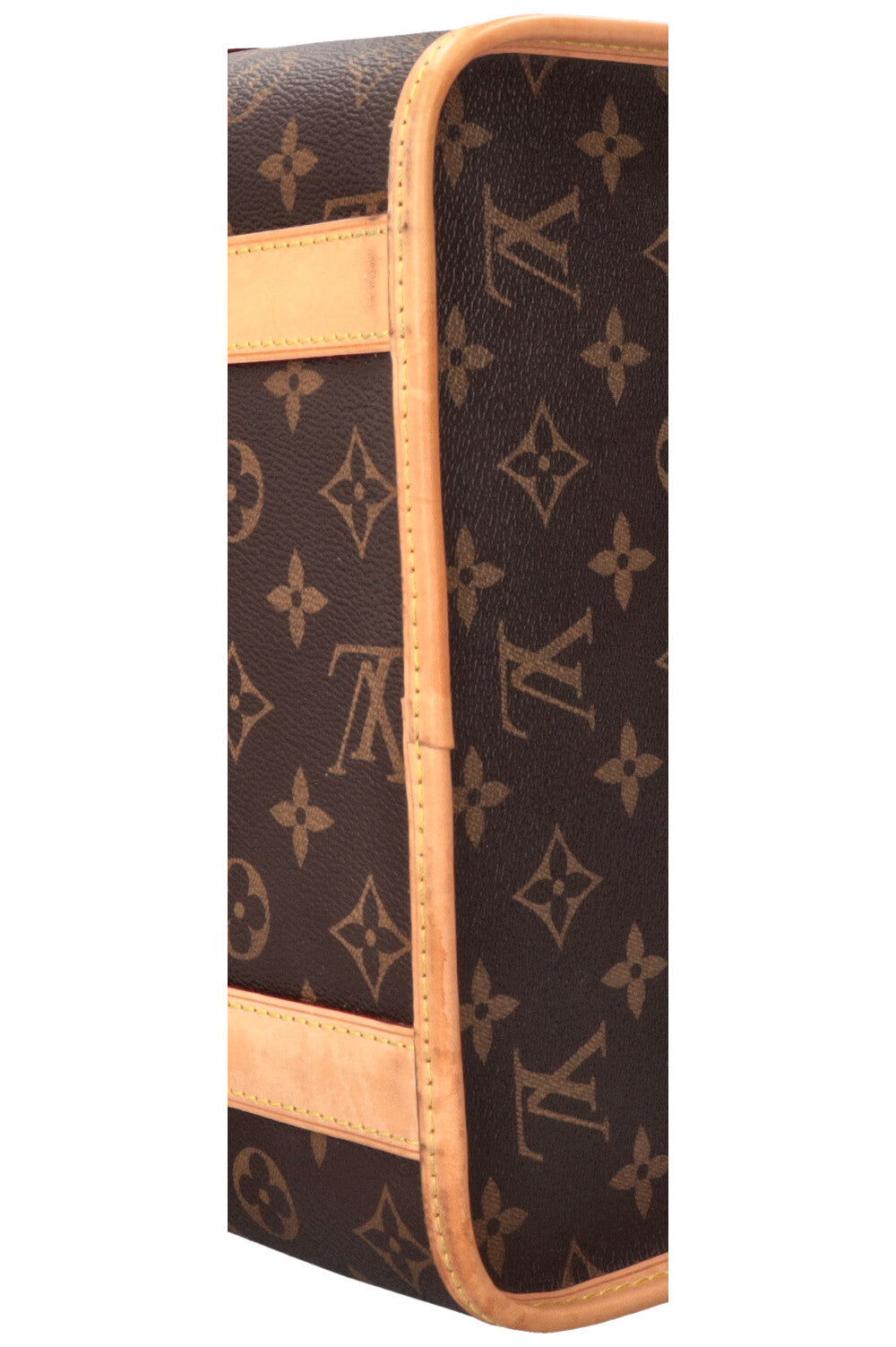 LOUIS VUITTON Dog Bag MNG Canvas