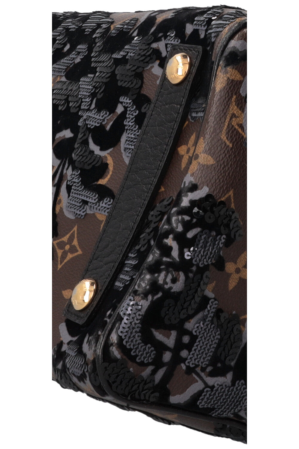 LOUIS VUITTON Fleur de Jais Speedy 30 Canvas Brown