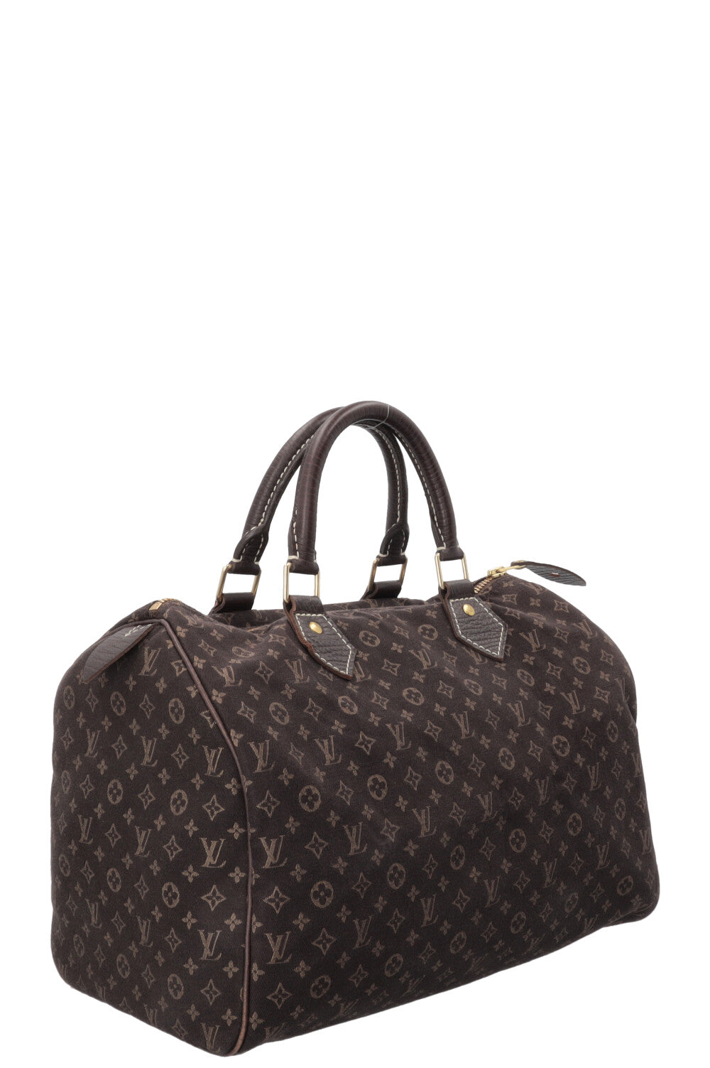 LOUIS VUITTON Mini Lin 30 MNG Idylle Canvas Brown