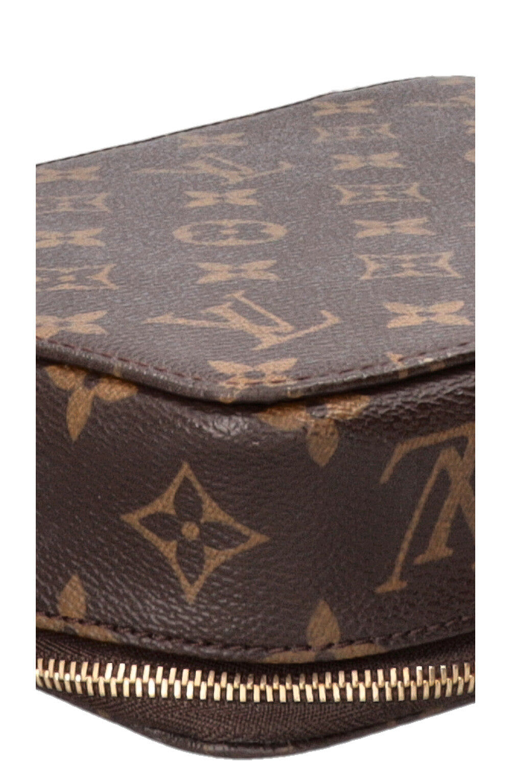 LOUIS VUITTON Monte Carlo Jewelry Case MNG