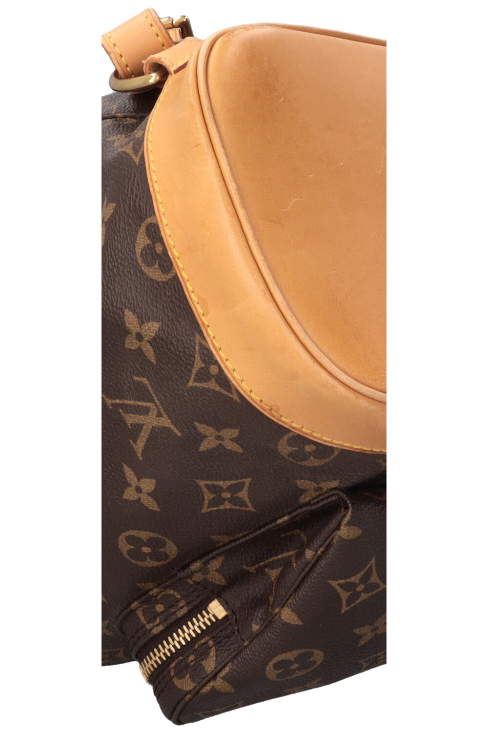 LOUIS VUITTON Montsouris GM Backpack MNG Canvas Leather Brown