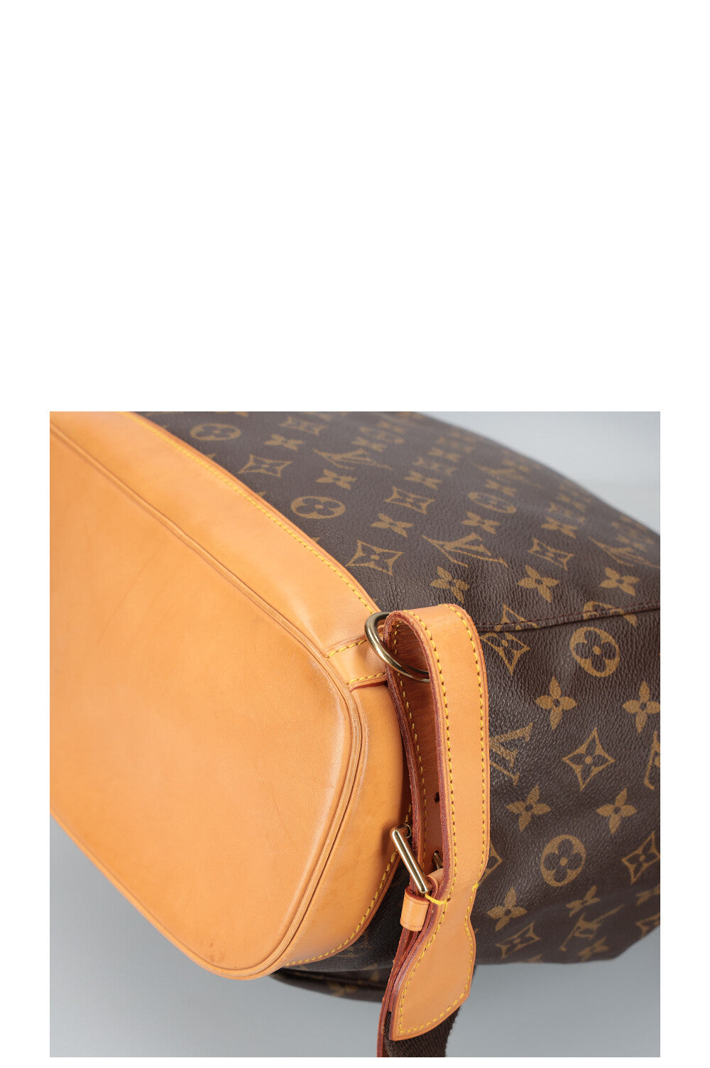 LOUIS VUITTON Montsouris GM Backpack MNG