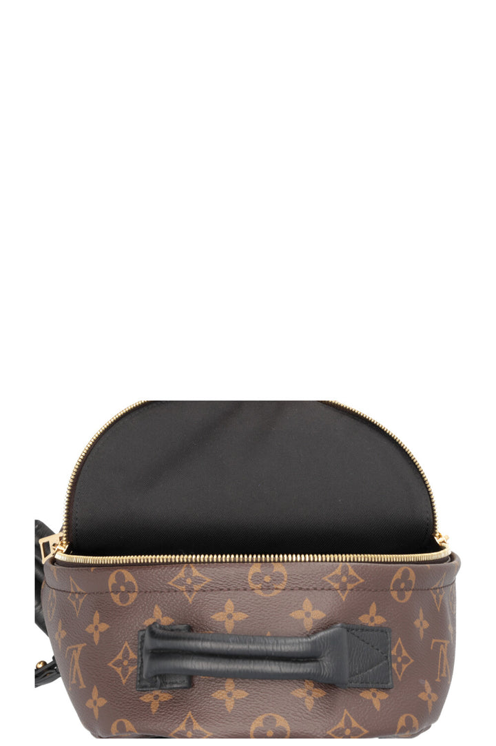 LOUIS VUITTON Palm Springs Backpack PM MNG Canvas