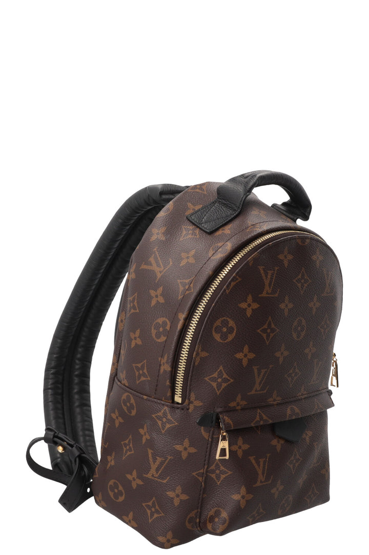 LOUIS VUITTON Palm Springs Backpack PM MNG Canvas