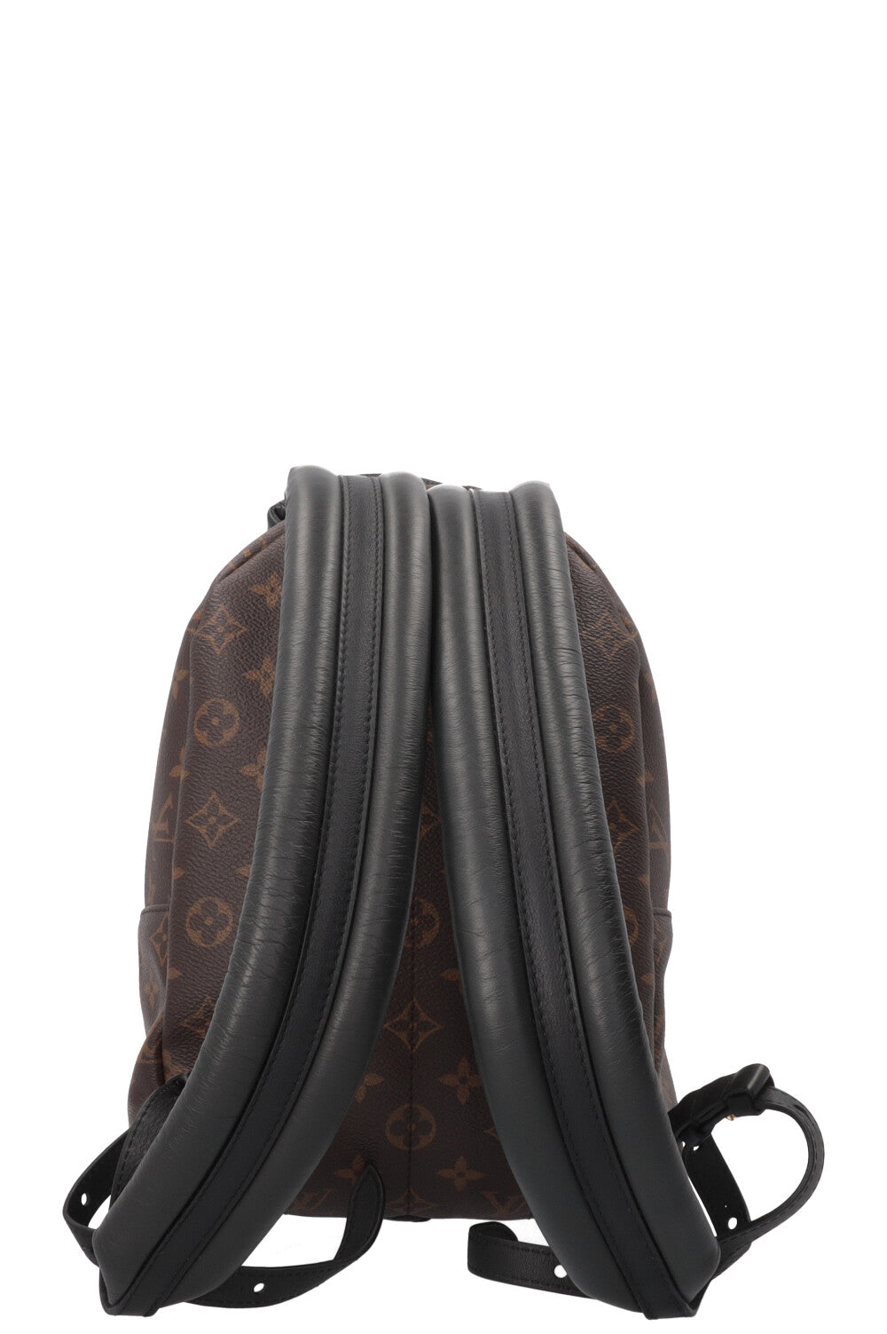 LOUIS VUITTON Palm Springs Backpack PM MNG Canvas