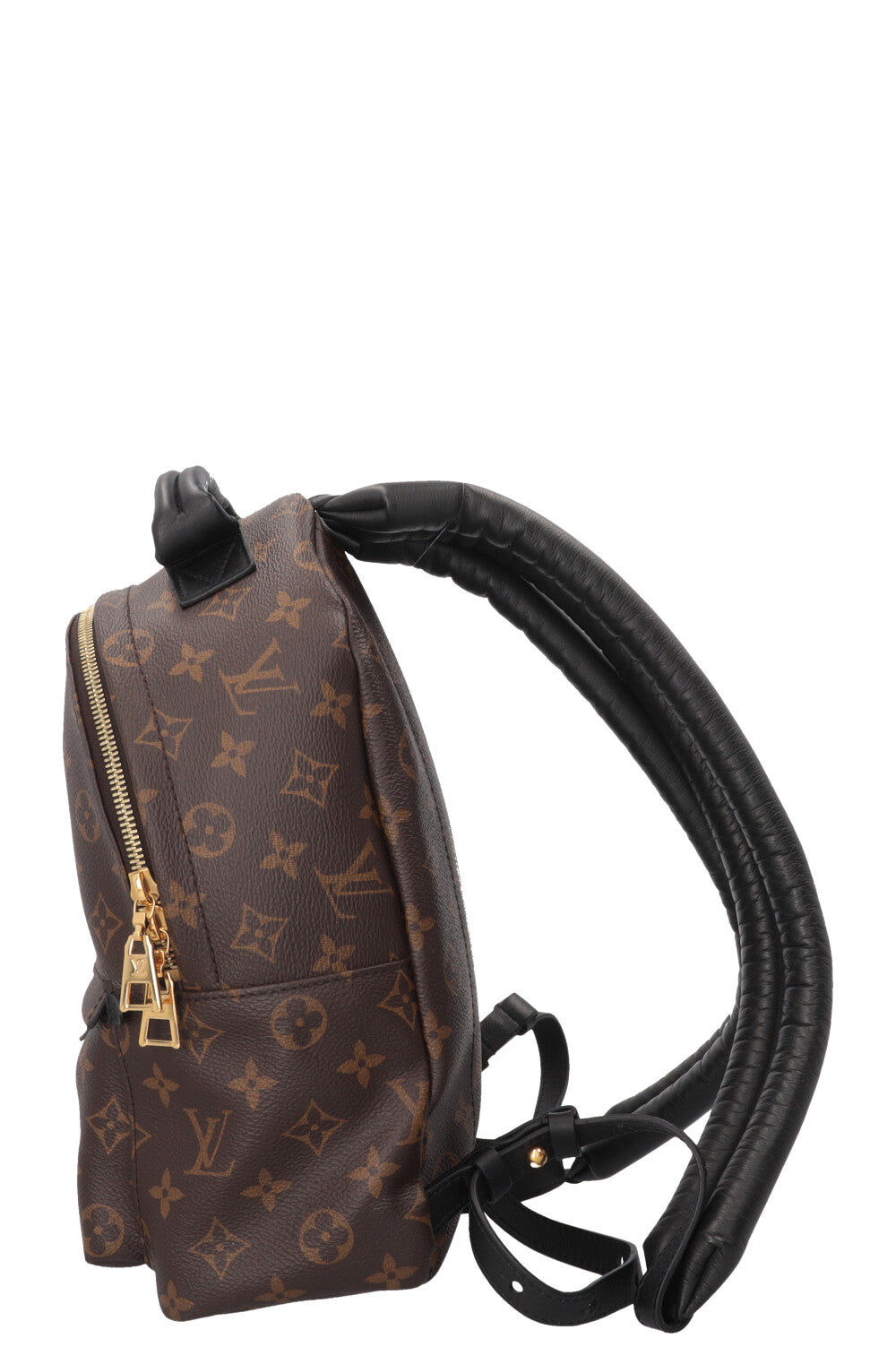 LOUIS VUITTON Palm Springs Backpack PM MNG Canvas